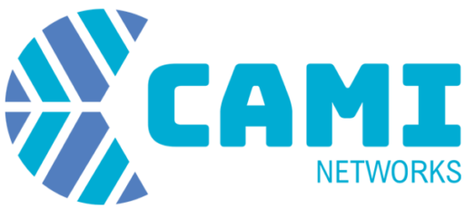 Cami Networks Logo